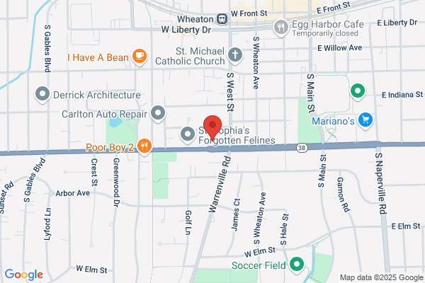 Accounting Connections Inc