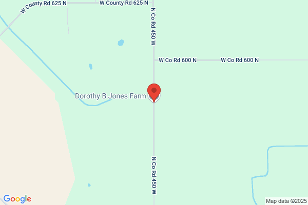 Dorothy N. Jones, MD