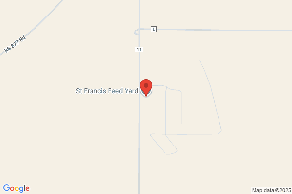 St Francis Livestock Auction