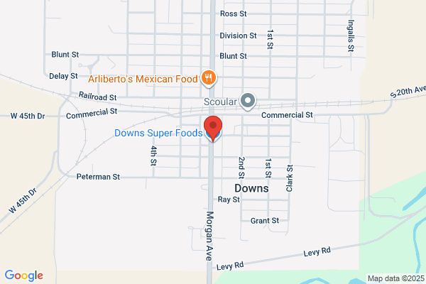 Downs Grocery