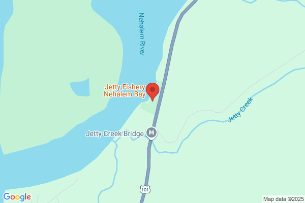 Jetty Fishery Marina&RV Park