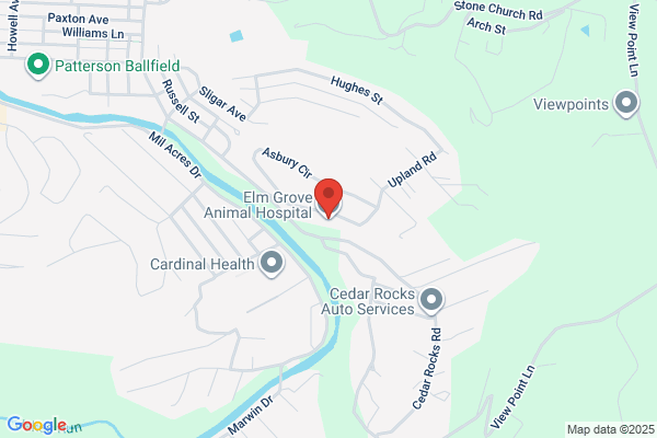 Elm Grove Animal Hospital