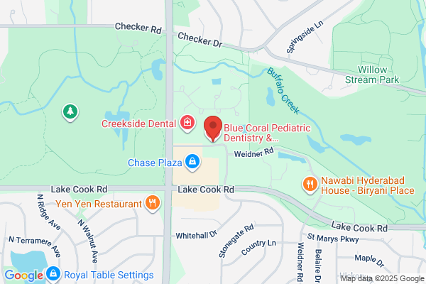 Blue Coral Pediatric Dentistry & Orthodontics - Buffalo Grove (formerly Pediatric Dental Associates)
