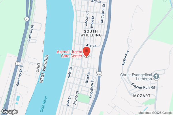 Animal Urgent Care Center