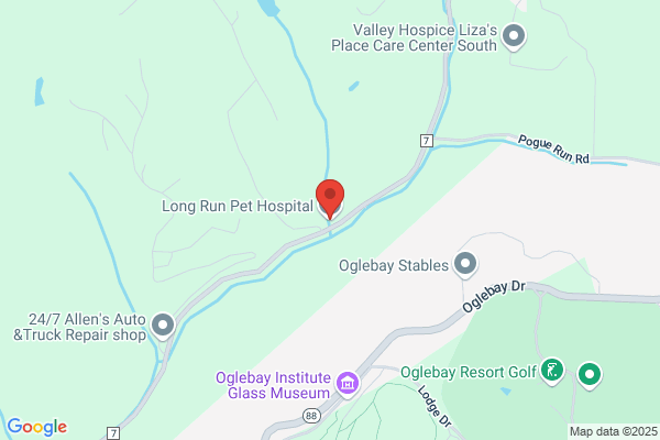 Long Run Pet Hospital