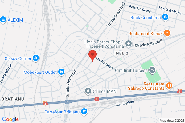 Anca Georgescu - CLOSED