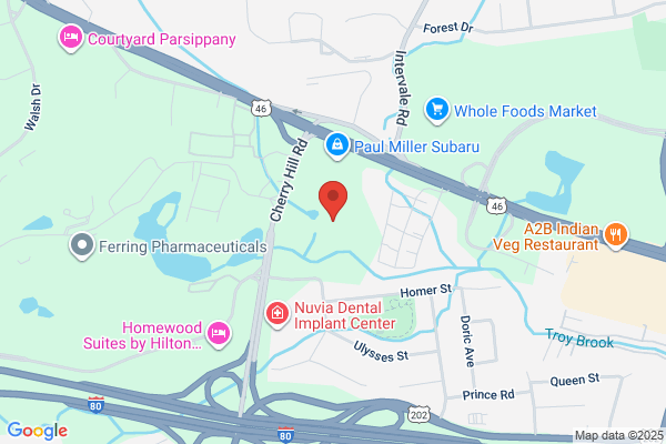 Whippany Limousine Service