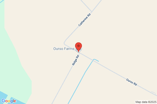 Ourso Farms