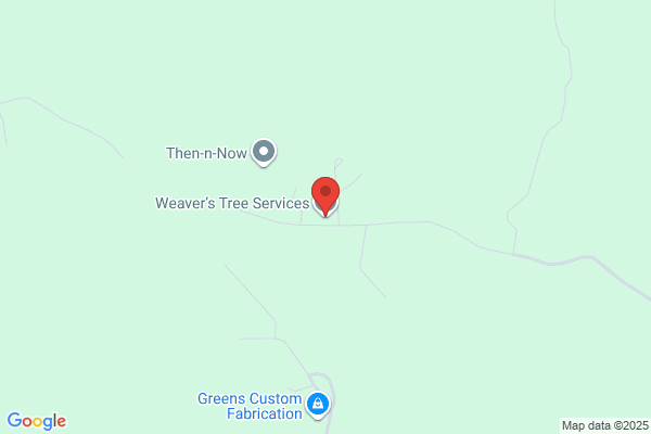 Weaver's Tree Service & Stump Removal