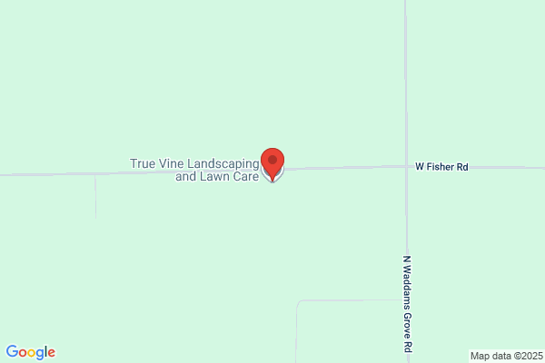 True Vine Landscaping