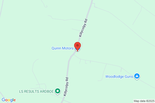 Quinn Motors