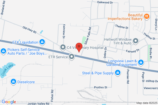Family Dollar Stores Inc
