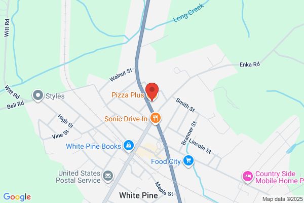 Pizza Plus of White Pine