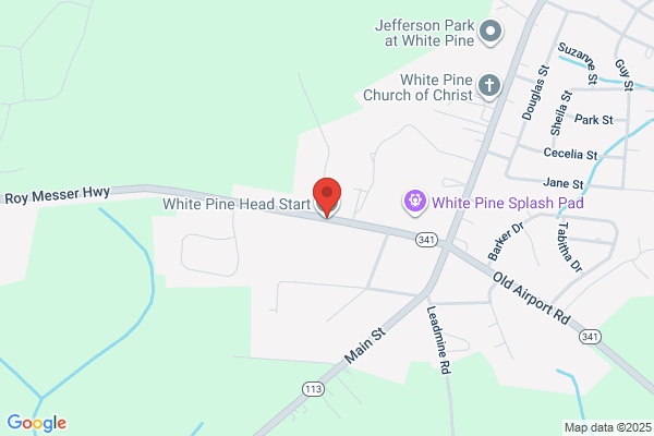 White Pine Head Start