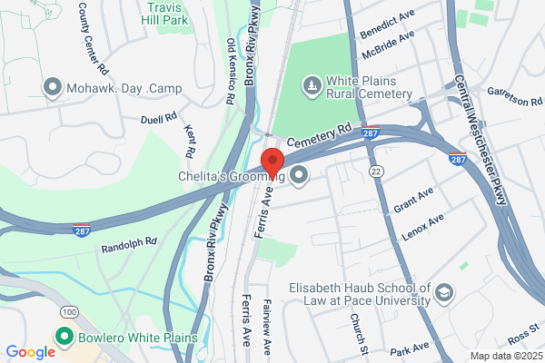 White  Plains Auto