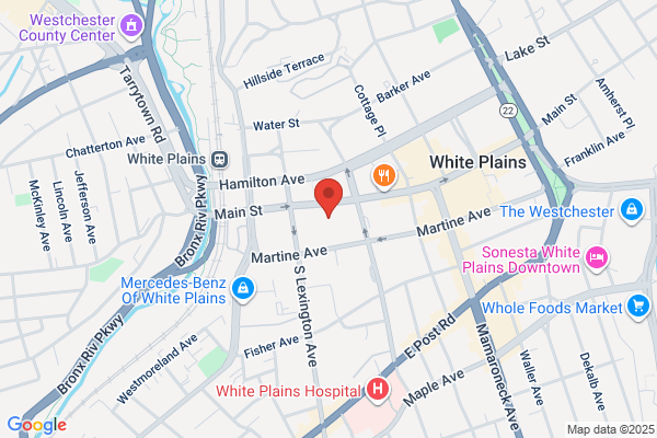 I-CE-NY White Plains