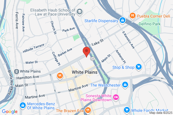 Nyc Advisors Llc