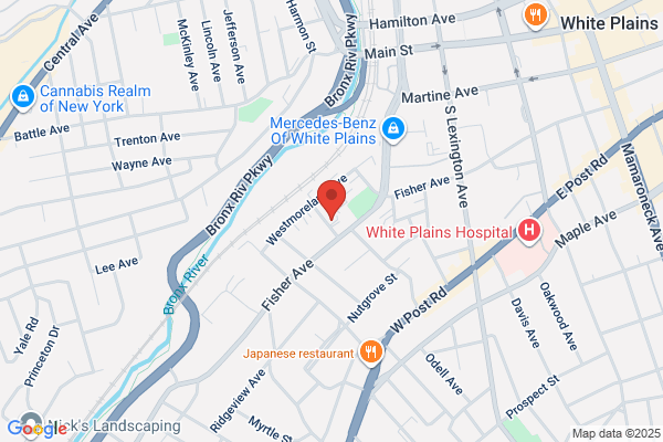 White Plains Auto