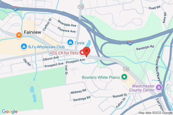 Westchester Animal Emergency