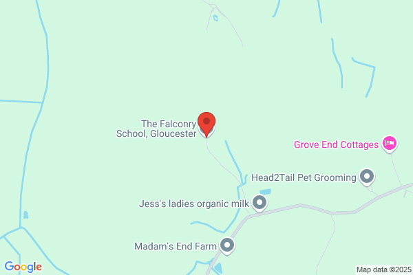 Falconry Academy the