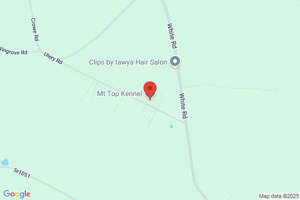 Mt Top Kennel