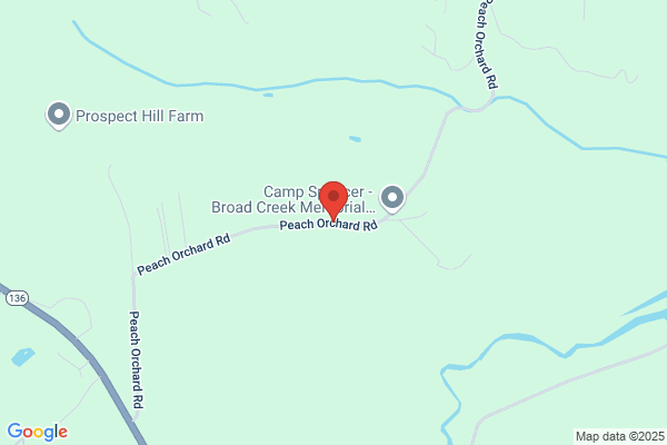 Napieralski Dennis Forestry Co