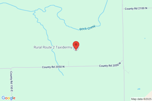 R & T Taxidermy