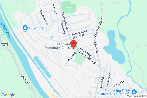 Stanglein Veterinary Clinic