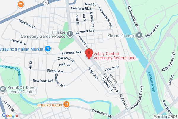 Valley Central Veterinary Referral