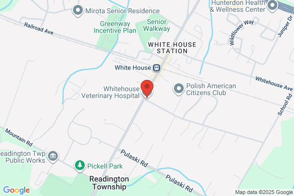 Whitehouse Veterinary