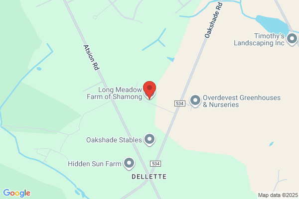 Long Meadow Farm