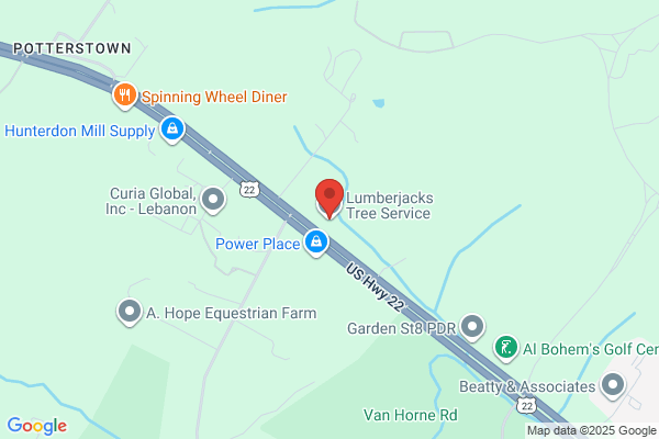 Lumberjack Tree Service NJ