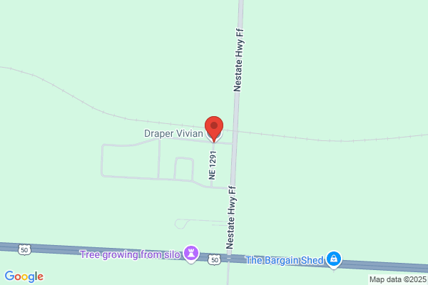 Vivian Draper | Timberline Realty