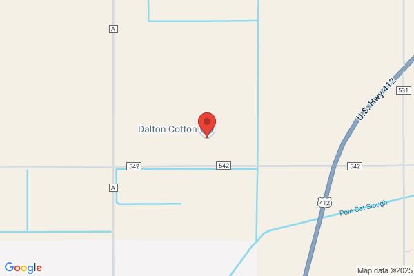 Dalton Cotton Company Inc