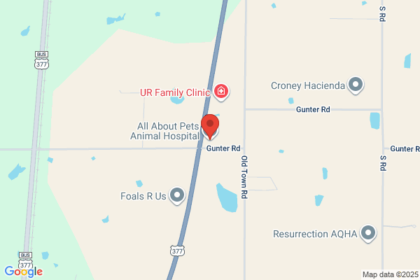 All About Pets Animal Hospital