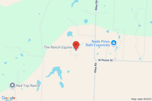 North Texas Horse Sales Llp