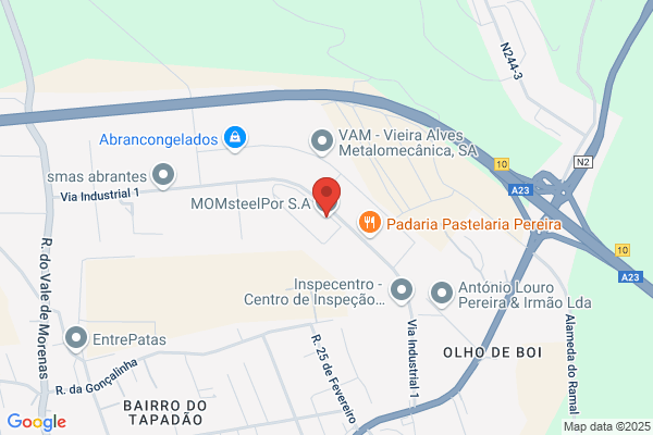 Moms of Steel