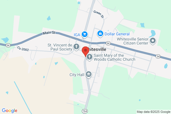 Leaning Tower of Pizza