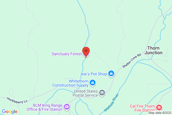 Sanctuary Forest Inc