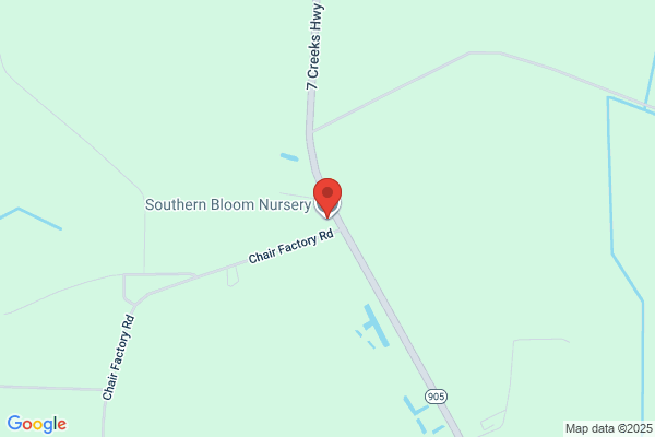Southern Bloom Nursery