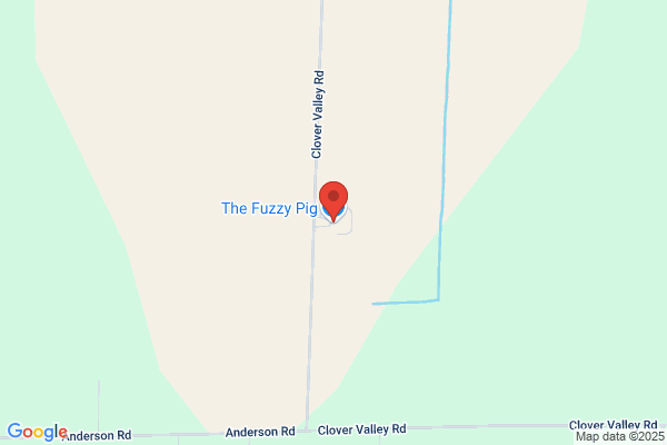 The Fuzzy Pig