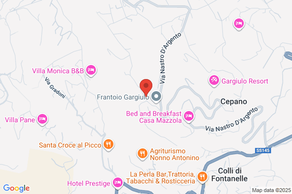 Corsentino Limo Transport