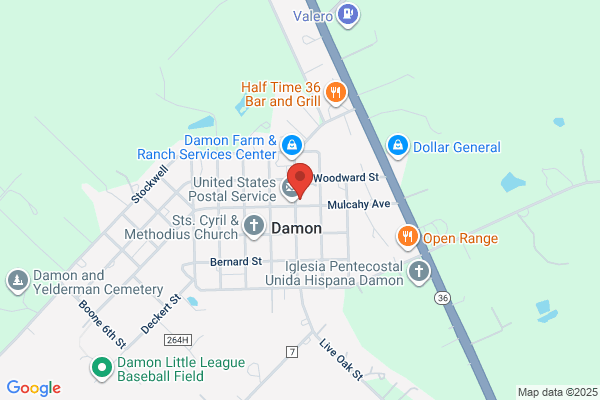 Damon Collision Center