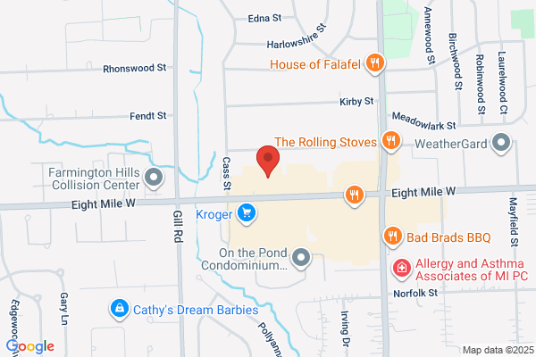 Michigan Rehabilitation Specialists