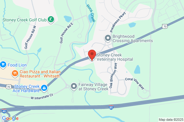 Stoney Creek Veterinary Hospital