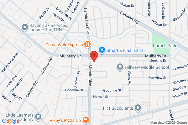 Nelsen Andrew J Dentist