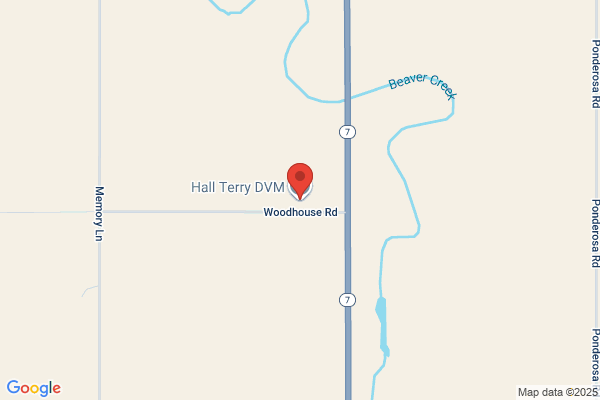 Hall Elaine, Vet