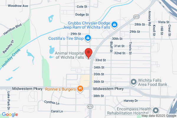 Animal Hospital of Wichita Falls