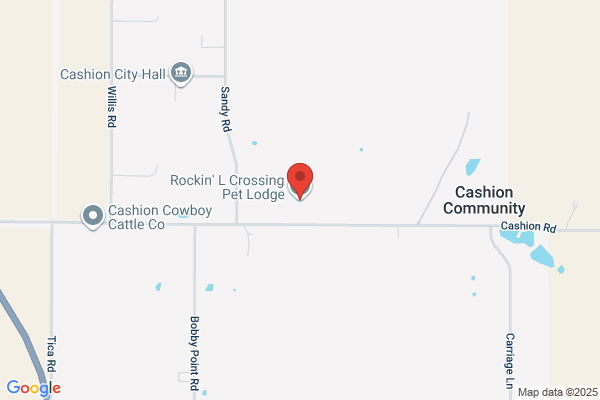 Rover.com: Wichita Falls Dog Boarding, Walking, Day Care & Sitting