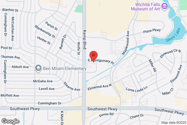 NORTH TEXAS AUTO SERVICE